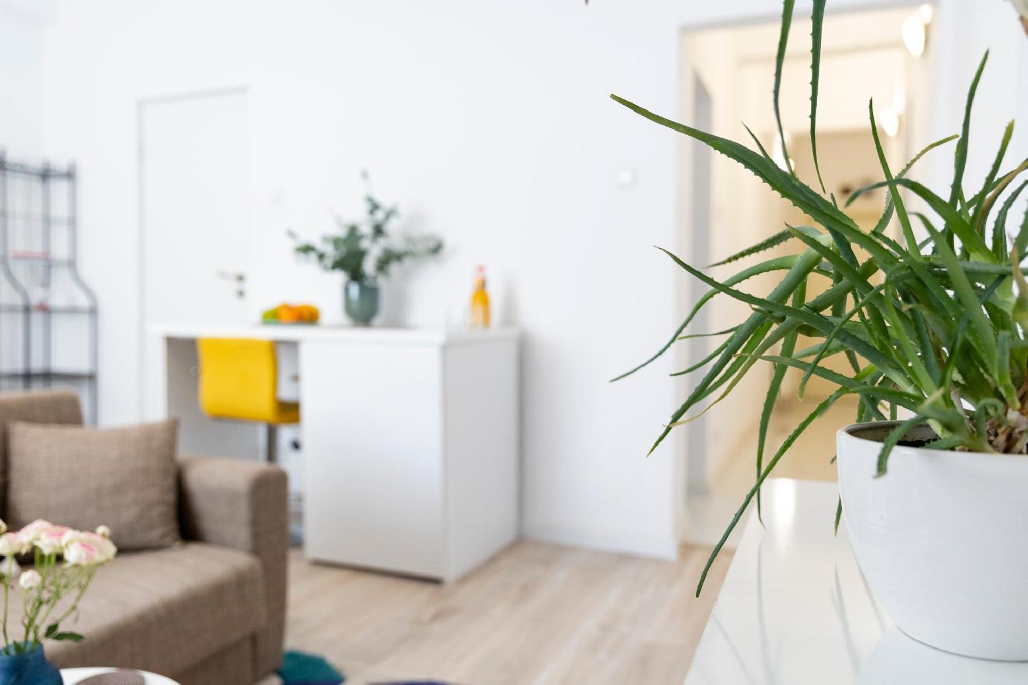 Old Deluxe Universitate Apartment